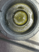 tempImagebmBqqB.gif