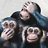 deaf monkey