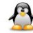dindaosx