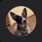 Psychodog