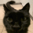 mauric