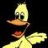 duck51