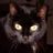 tcfkat