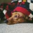 cathyleenerts