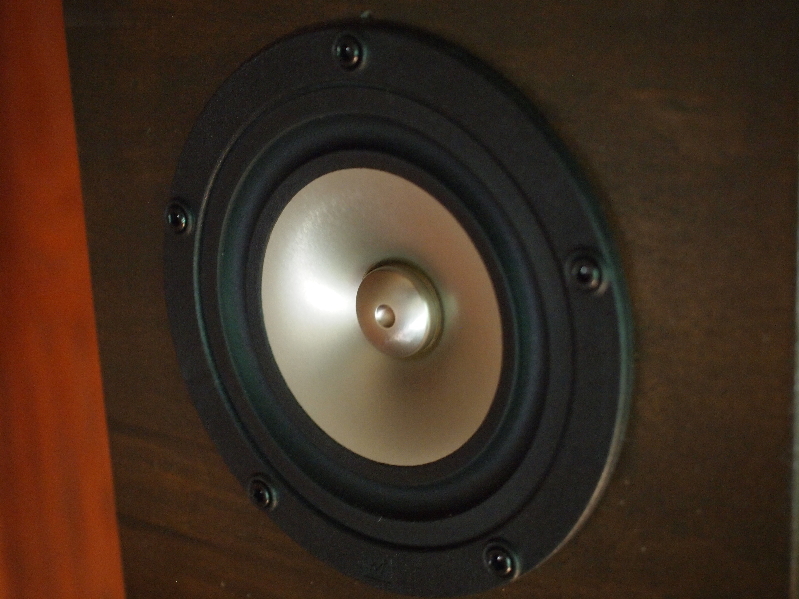 SDDBH-07.jpg