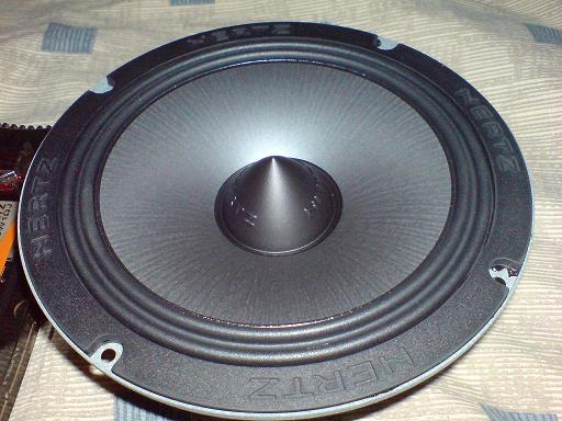 504158.jpg