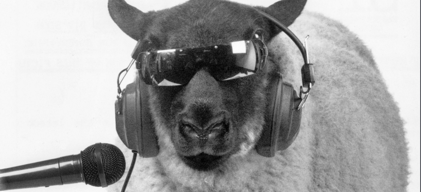 SHEEP-WEARING-HEADPHONES-e13124709083041.jpg