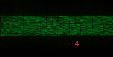 TEAC_4.jpg