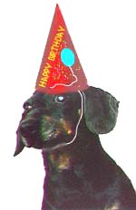 birthdog.jpg