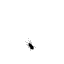 bugshit.gif