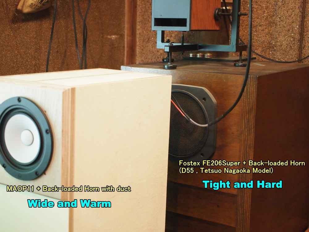 maop11+fe206s.jpg