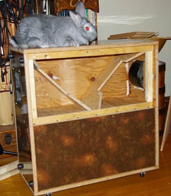 282821d1337298950-homemade-marshall-cabinet-how-port-what-speakers-4x10-h.jpg