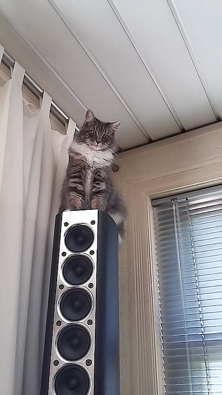 762956d1560538838-towers-25-driver-range-line-array-catishelping-jpg