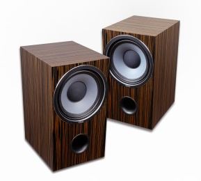 496920d1438647678-build-own-speakers-wlm-diva-monitor-jpg