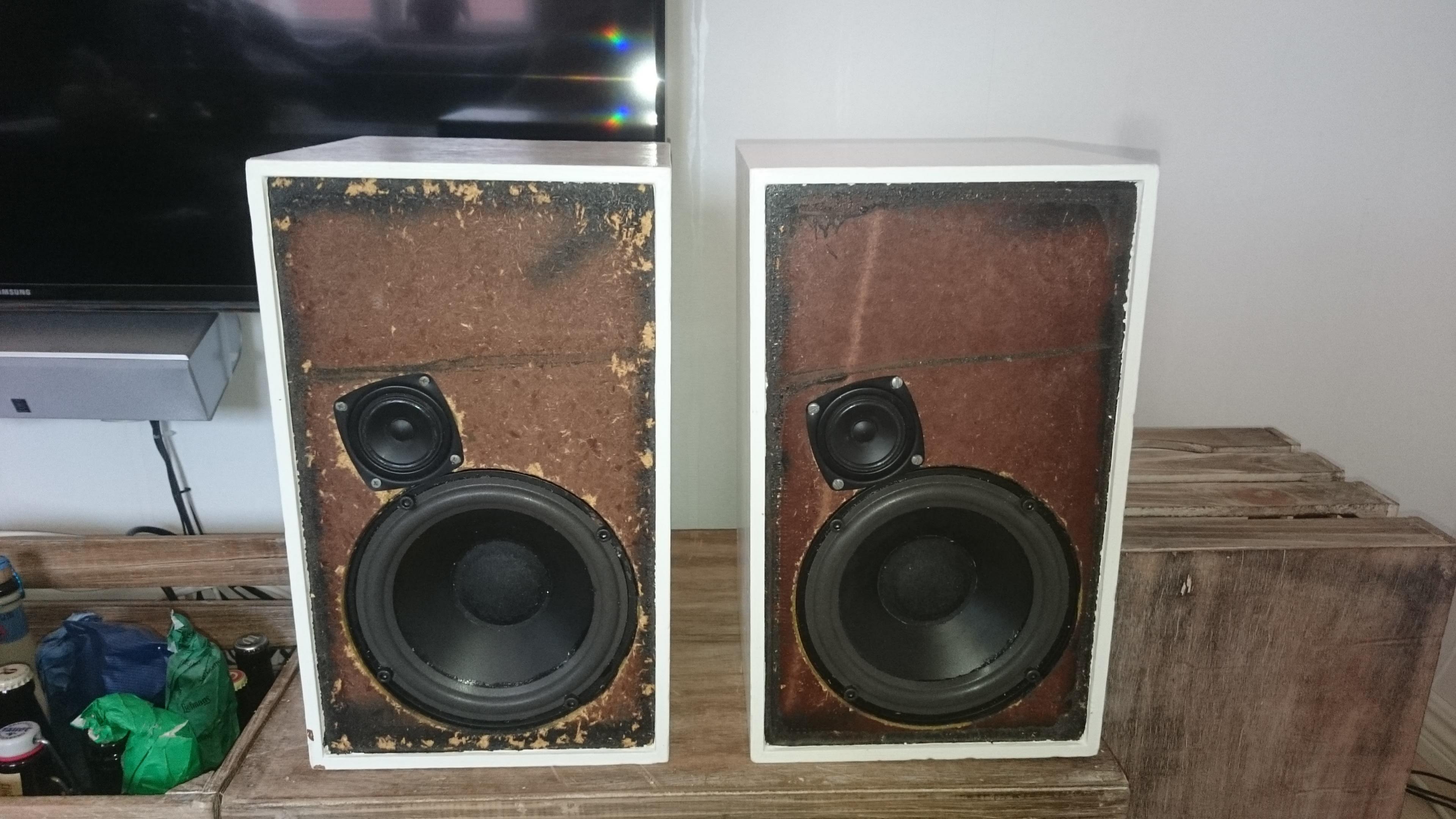 555462d1466291951-2-way-speakers-suggestions-improvements-dsc_0853.jpg