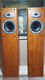 605865d1489716707-visaton-2-way-tower-monitor-audio-bronze-5-celestion-f20-picture.jpg