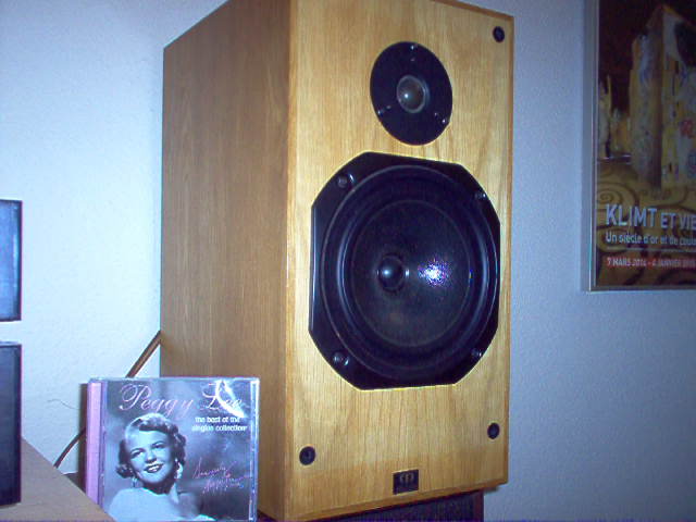 Monitor sales audio r300