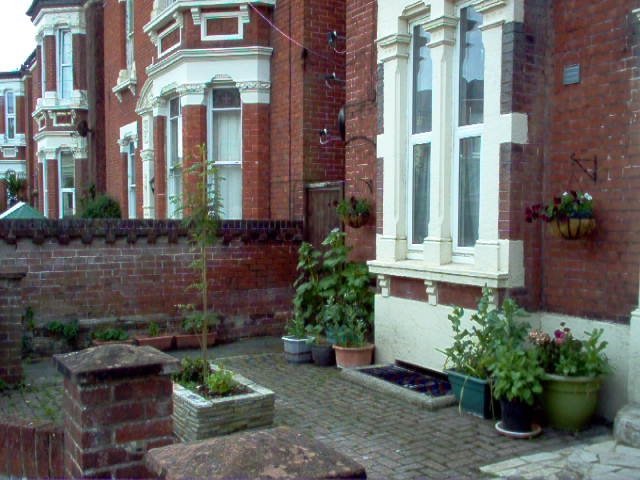 961665d1624360586-universe-expanding-tidy-garden-jpg