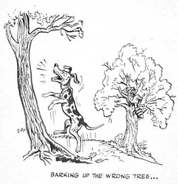 961776d1624392725-universe-expanding-barking-wrong-tree-jpg