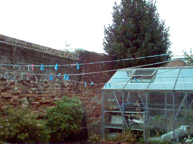 989873d1634067227-universe-expanding-clotheslines-jpg